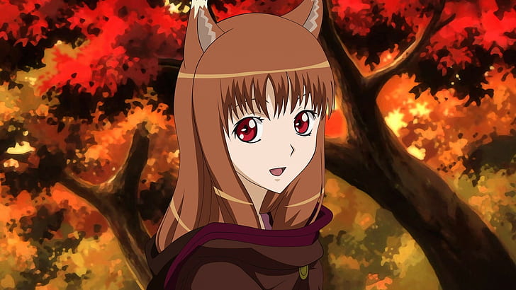 Spice and Wolf, Holo, animal ears, anime, anime girls, Okamimimi, HD wallpaper