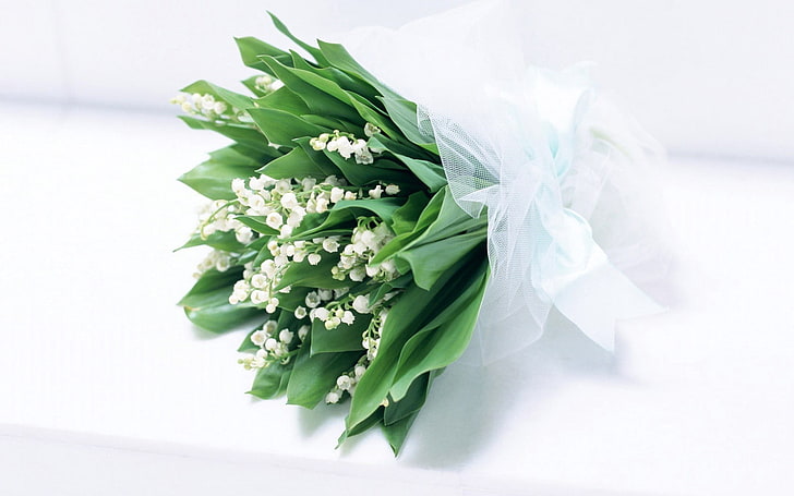 ดอกลิลลี่สีขาวของหุบเขาดอกไม้ช่อดอกลิลลี่แห่งหุบเขาดอกไม้ช่อดอกไม้สีเขียวการตกแต่งพริมโรส, วอลล์เปเปอร์ HD