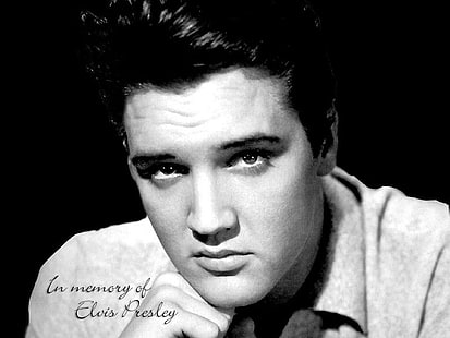 Sänger, Elvis Presley, Musik, Rock & Roll, Der König, HD-Hintergrundbild HD wallpaper