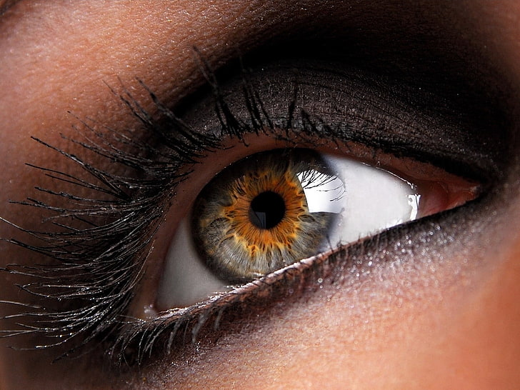ojo humano, ojo, pupila, negro, pestañas, niña, Fondo de pantalla HD