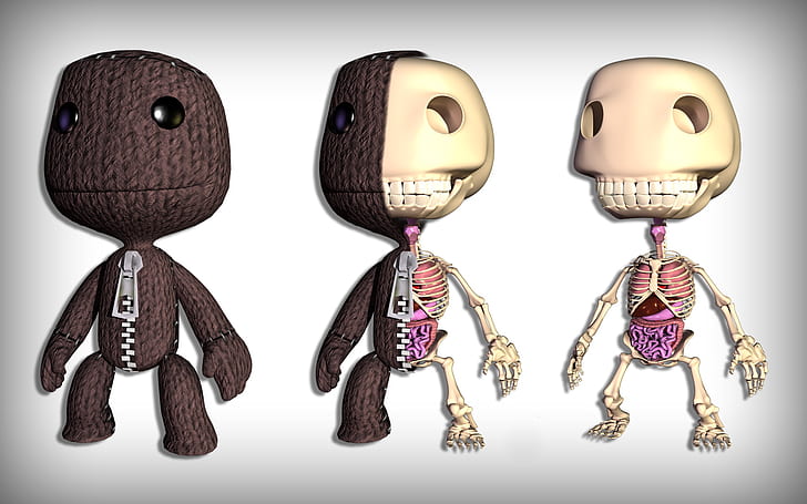 LittleBigPlanet Sackboy Skeleton Anatomy Bones HD, video game, skeleton, tulang, littlebigplanet, sackboy, anatomi, Wallpaper HD