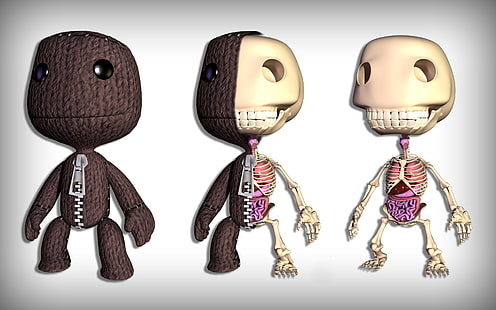 LittleBigPlanet Sackboy Skeleton Anatomy Bones HD, videospel, skelett, ben, littlebigplanet, sackboy, anatomi, HD tapet HD wallpaper