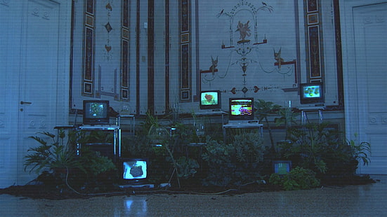 Искажение, гербарий, в помещении, телевизор, паровая волна, VHS, HD обои HD wallpaper