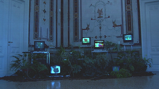 pianta a foglie verdi, vaporwave, VHS, TV, erbario, distorsione, al chiuso, Sfondo HD HD wallpaper