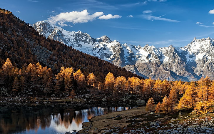 коричневые лиственные деревья, серые и белые горы в дневное время, природа, пейзаж, осень, горы, озеро, лес, Альпы, Италия, снежный пик, деревья, HD обои