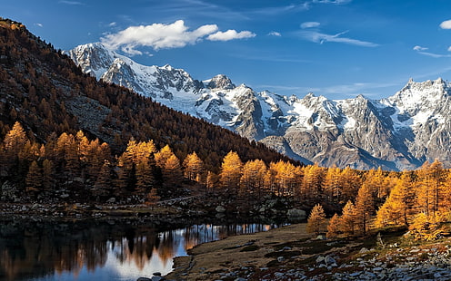 коричневые лиственные деревья, серые и белые горы в дневное время, природа, пейзаж, осень, горы, озеро, лес, Альпы, Италия, снежный пик, деревья, HD обои HD wallpaper
