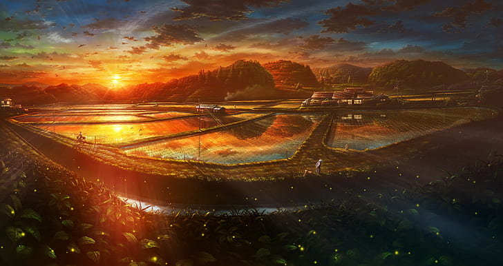 artwork, Farm, Fireflies, Japan, Japanese, leaves, sunlight, Terraced Field, HD wallpaper