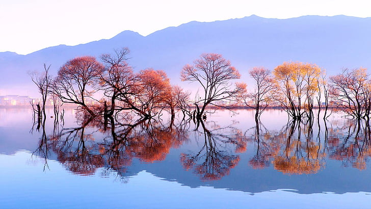 reflexão, agua, árvore, lagoa, lago, outono, vale, natureza, incrível, China, Ásia, Yunnan, Heqing, lagoa de Huanglong, HD papel de parede