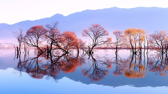 reflexão, agua, árvore, lagoa, lago, outono, vale, natureza, incrível, China, Ásia, Yunnan, Heqing, lagoa de Huanglong, HD papel de parede HD wallpaper