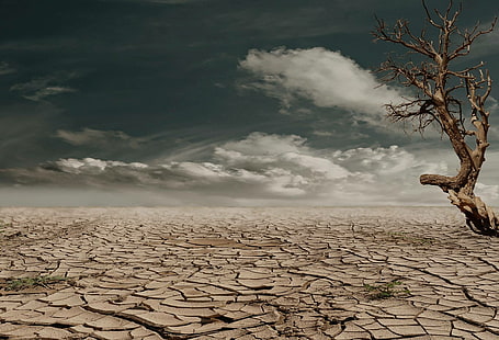 사막, 점토, 구성, 탈수, 가뭄, 토양, HD 배경 화면 HD wallpaper