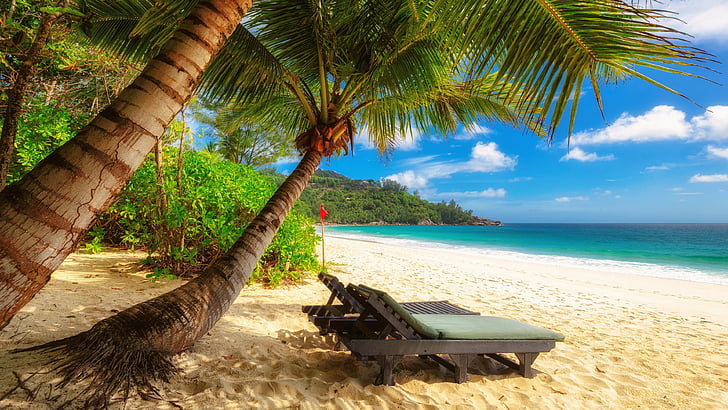 tropiques, caraïbes, palmier, plage, rive, arbre, vacances, ciel, mer, océan, côte, mahé, seychelles, Fond d'écran HD