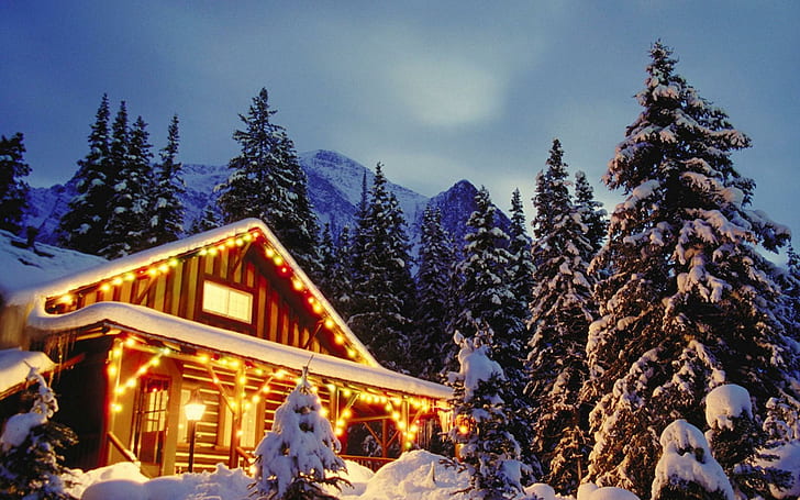 Christmas Cabin, forest, loghut, house, winter lights, snow, nature, 3d ...
