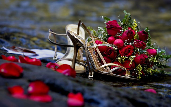 Red roses and golden shoes, pair of brown open toe heels, flowers, 1920x1200, rose, HD wallpaper