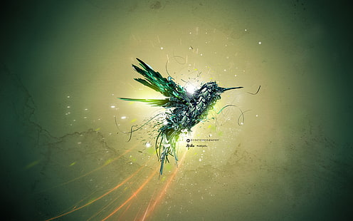 Green Bird Flight HD, зелен, птица, креатив, графика, креатив и графика, полет, HD тапет HD wallpaper
