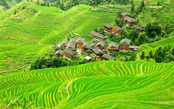 Landschaft, Natur, Feld, terrassenförmig angelegtes Feld, China, HD-Hintergrundbild