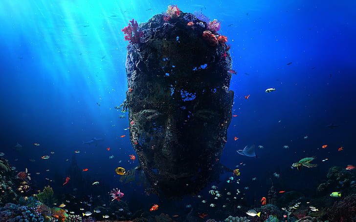 Коралл, Desktopography, цифровое искусство, лицо, рыба, море, солнечные лучи, черепаха, под водой, HD обои