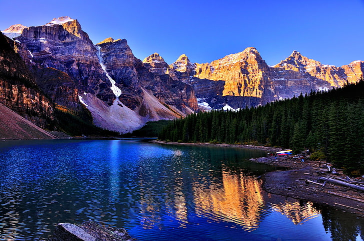 Plan d'eau et pins, parc national Banff, Canada, lac, louise, Fond d'écran HD