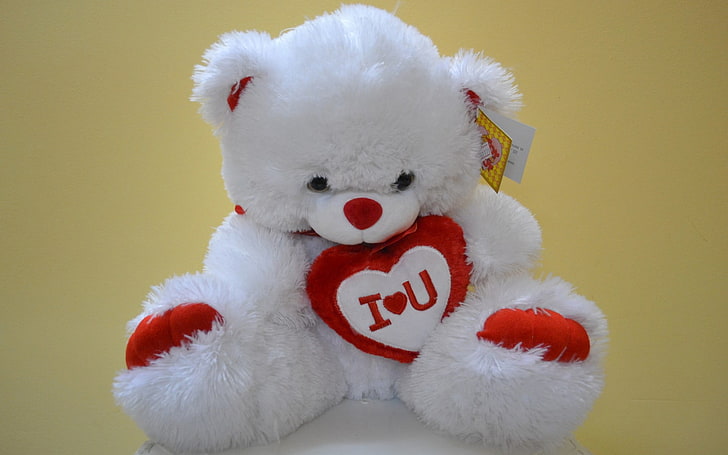 бяла и червена мечка плюшена играчка, плюшени мечета, любов, HD тапет