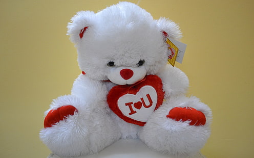 бяла и червена мечка плюшена играчка, плюшени мечета, любов, HD тапет HD wallpaper