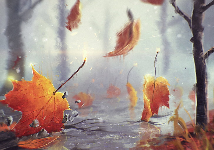 роспись кленовых листьев, осень, листья, деревья, настроение, капля, погода, HD обои