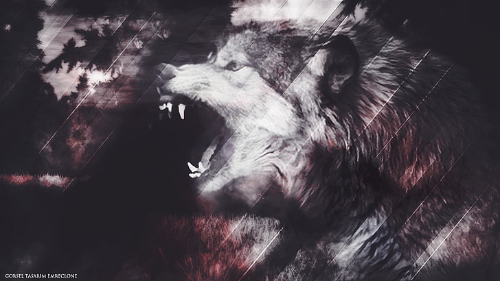 коричнево-белый волк обои, Lycan, волк, HD обои
