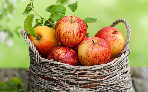 Червени ябълки, плодове, кошница, ябълкови плодове, червени, ябълки, плодове, кошница, HD тапет HD wallpaper