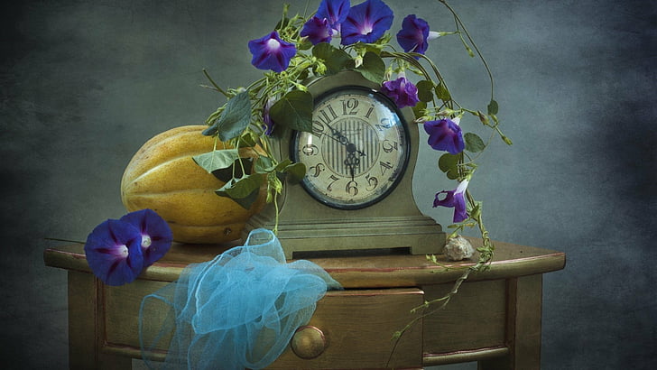 Photography, Still Life, Clock, Flower, Gourd, Scarf, Table, Vine, HD wallpaper