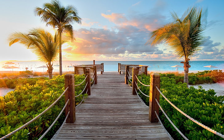 puerto de madera marrón, puesta de sol, camino, isla, playa, palmeras, Fondo de pantalla HD