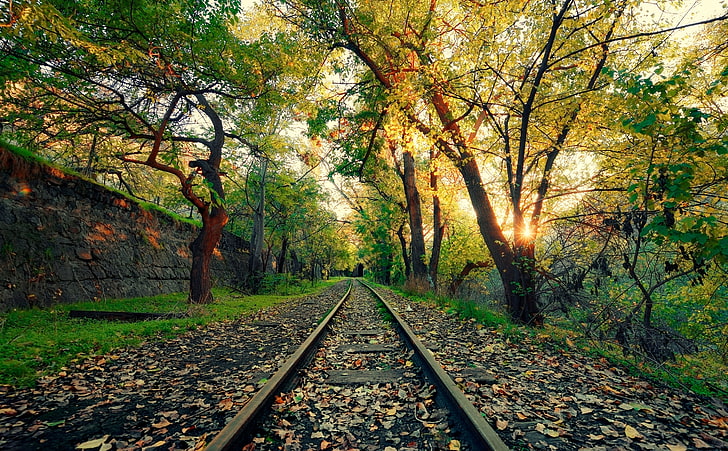 أرمينيا ، يريفان ، السكك الحديدية الفولاذية السوداء ، الفصول ، الخريف ، الأخضر ، الأشجار ، الذهبي ، الخريف ، السكة الحديدية ، المسار ، أرمينيا ، يريفان، خلفية HD