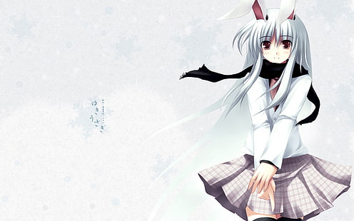 anime, Touhou, Reisen Udongein Inaba, gadis anime, telinga kelinci, Wallpaper HD HD wallpaper