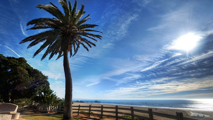 beach, clouds, palm trees, sea, landscape, HD wallpaper