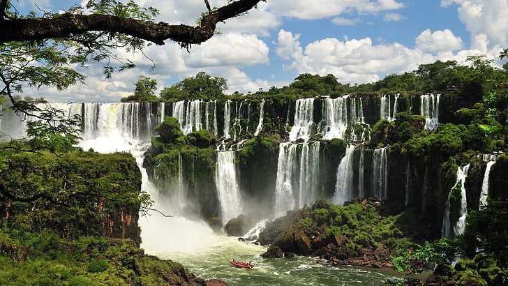 waterfall, nature, iguazu falls, nature reserve, water, iguazu national park, falls, tourist attraction, tree, national park, HD wallpaper