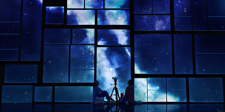 starry night digital wallpaper, tamagosho, sky, stars, telescope, night, window, HD wallpaper