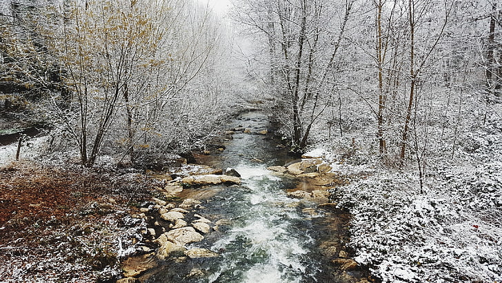 flod mellan snötäckt skog, natur, snö, vinter, landskap, skog, flod, träd, fotografi, HD tapet