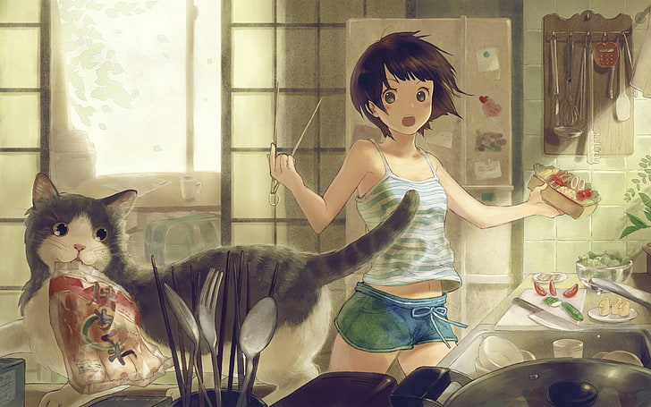 girl and cat anime cover, anime, girl, cat, room, Wallpaper HD