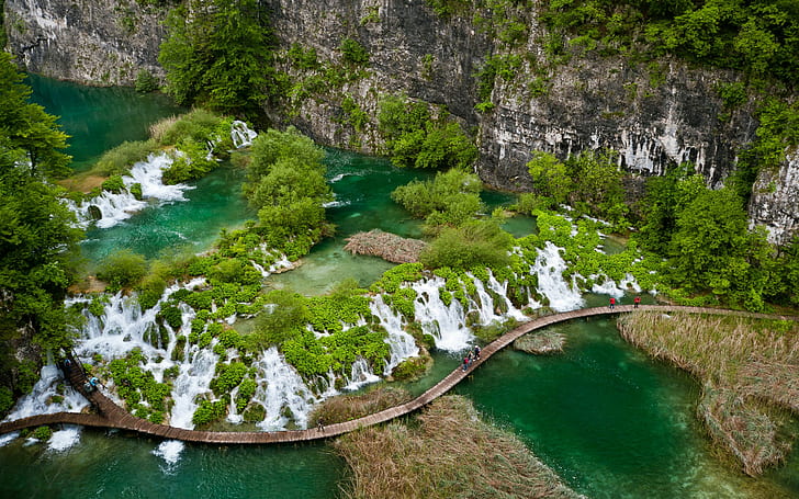 クロアチア、プリトヴィチェ湖群、国立公園、水域近くの緑の木々、プリトヴィチェ国立公園、プリトヴィチェ湖群、クロアチア、歩道橋、崖、滝、湖、植生、緑、熱帯地方、緑の楽園、Landschaft、Natur、 HDデスクトップの壁紙