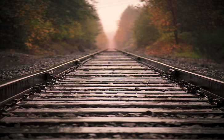 grey railroad, photography, railway, trees, depth of field, long road, fall, HD wallpaper