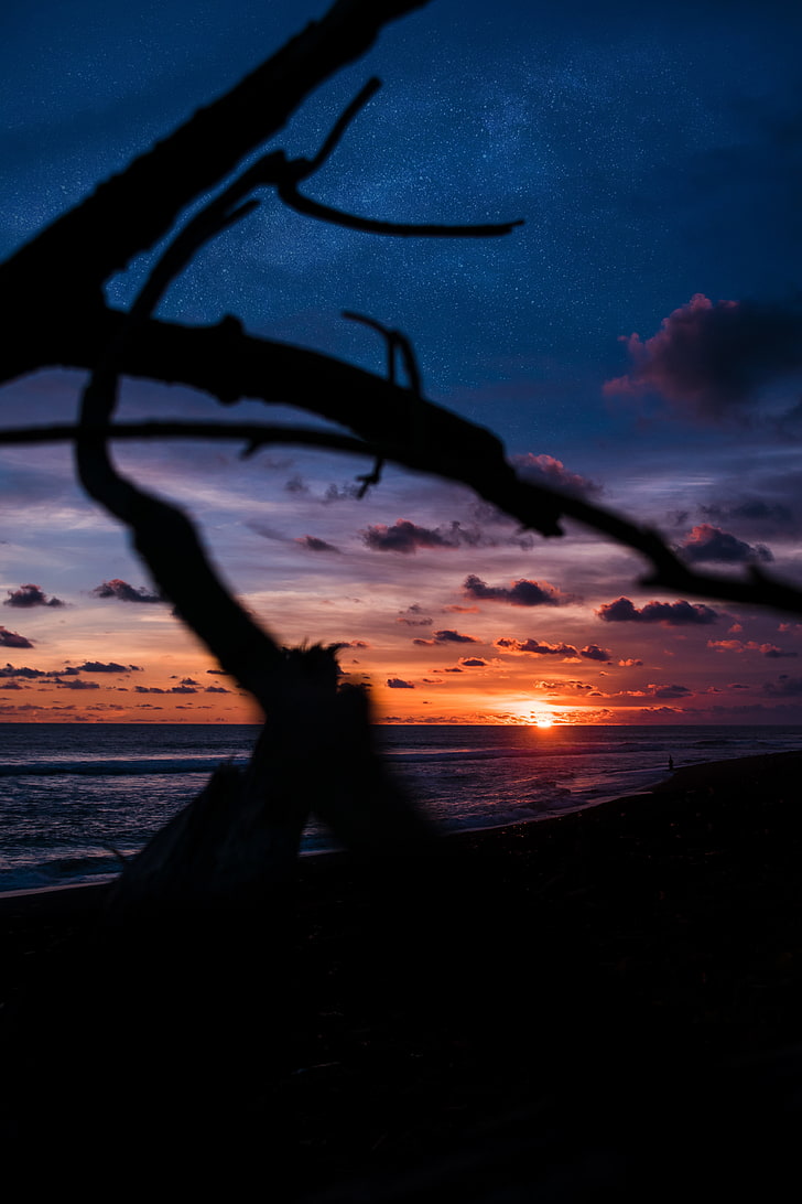 black driftwood, sunset, shore, clouds, sea, HD wallpaper
