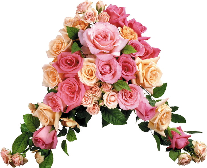 분홍색과 흰색 장미 장식, 장미, 꽃, 다른 구성, 잎, HD 배경 화면