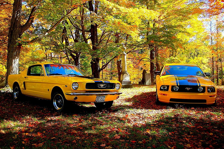 黄色のマスタング車、シェルビーGT、フォードマスタング、車、 HDデスクトップの壁紙