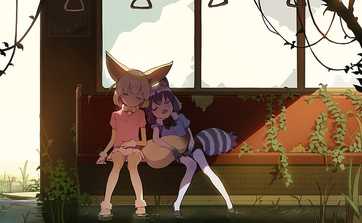 Anime, Teman Kemono, Fennec (Teman Kemono), Raccoon (Teman Kemono), Wallpaper HD