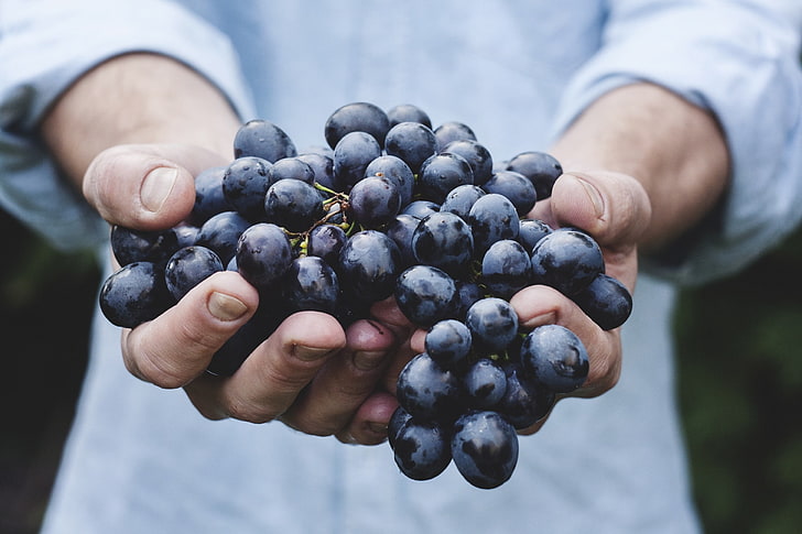 blueberries fruit, grapes, bunch, ripe, hands, HD wallpaper