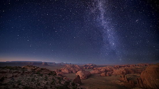 природа, пейзаж, растения, скали, планини, каньон, звезди, нощ, хоризонт, галактика, Monument Valley, Аризона, САЩ, HD тапет HD wallpaper