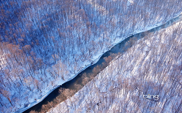 winter, forest, snow, river, USA, Virginia, HD wallpaper