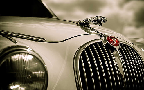 Fahrzeug, Auto, Muscle Cars, Jaguar, Vintage, HD-Hintergrundbild HD wallpaper