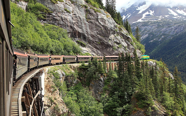 قطار بني ، غابة ، ألاسكا ، جبل ، سكاغواي ، سكة حديدية بيضاء، خلفية HD