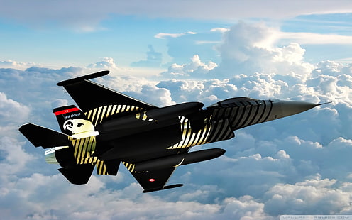 черный реактивный самолет, Турция, SoloTurk, General Dynamics F-16 Fighting Falcon, военный самолет, самолет, HD обои HD wallpaper