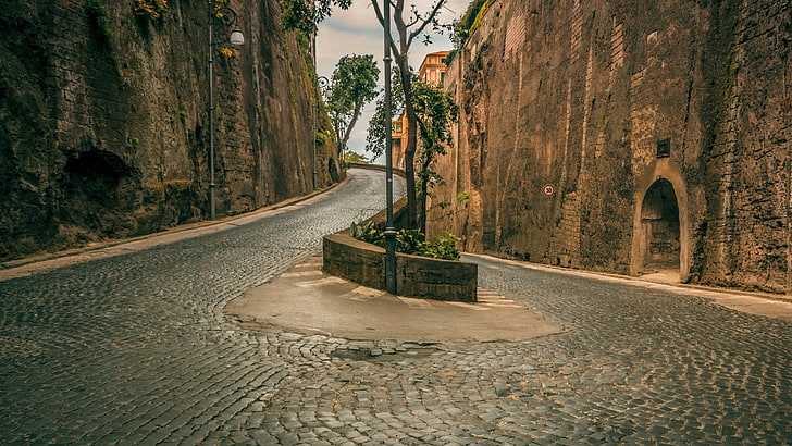 Árbol de hojas verdes, calle, adoquines, carretera, Sorrento, Italia, Fondo de pantalla HD