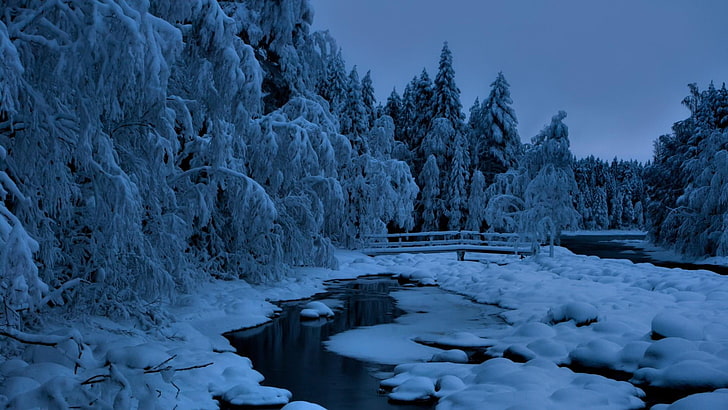 water, landscape, evening, snowy, fir, ice, wilderness, sky, tree, blue, frozen, freezing, nature, frost, river, snow, winter, HD wallpaper
