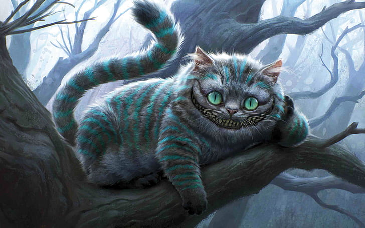 Cheshire Cat, cheshire, HD wallpaper